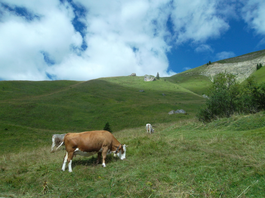 25_passo_s_pellegrino.jpg