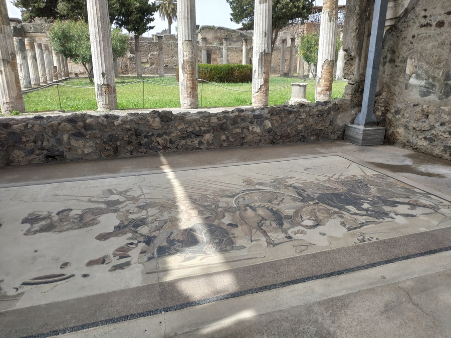 108_pompeii_casa_del_fauno.jpg