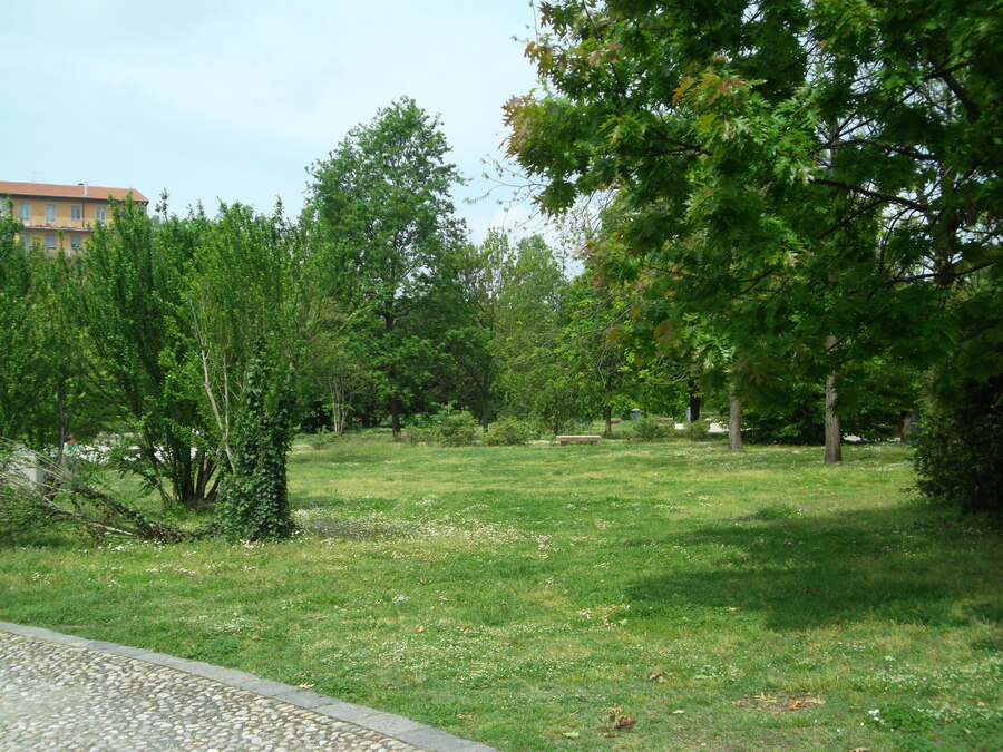 25_castello_visconteo.jpg