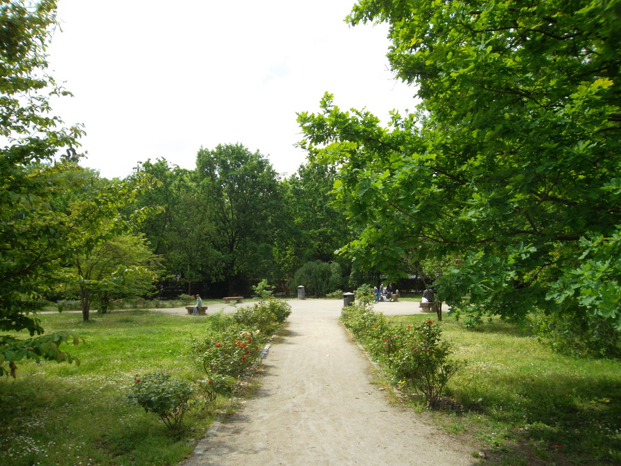 26_castello_visconteo.jpg