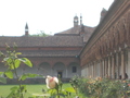 40_certosa_di_pavia.jpg