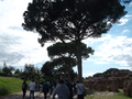 043_ostia_antica.jpg