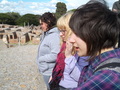 062_ostia_antica.jpg