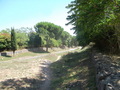 056_via_appia.jpg