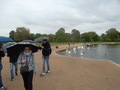 045_hyde_park.jpg