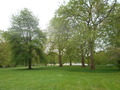 058_hyde_park.jpg