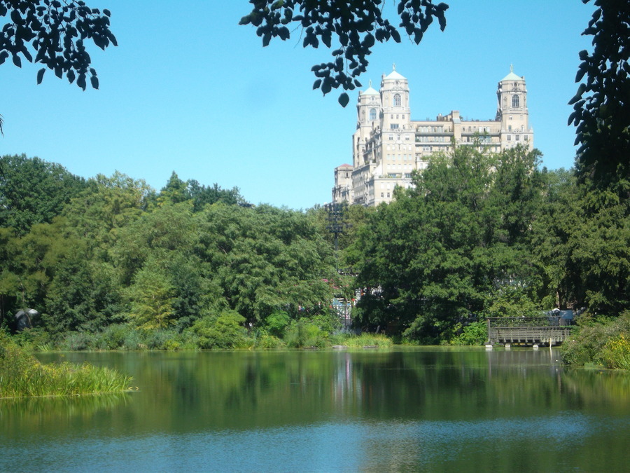 11_central_park.jpg