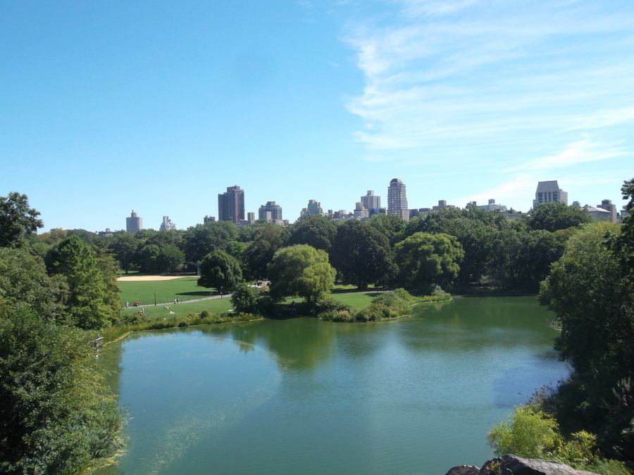 15_central_park.jpg