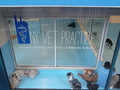01_pet_care.JPG