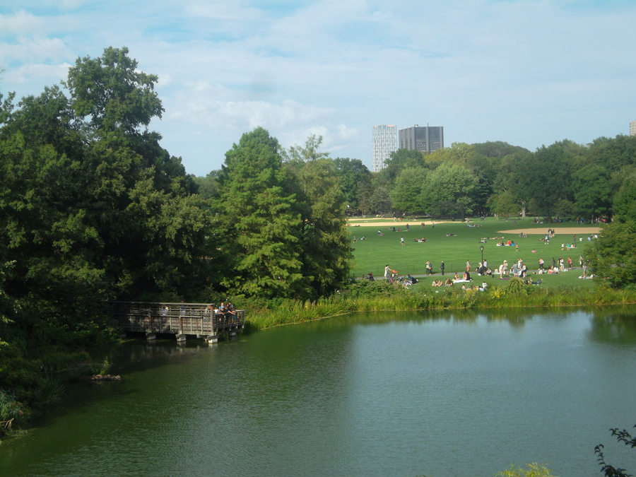 24_central_park.jpg