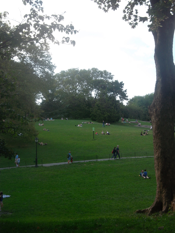 26_central_park.jpg